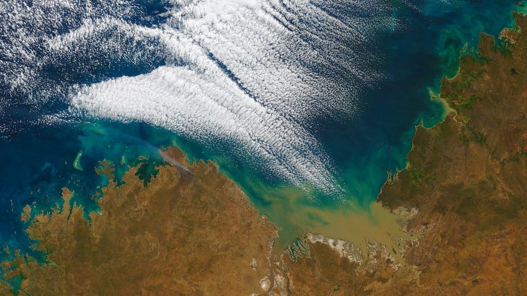 Объемная карта мира из дерева