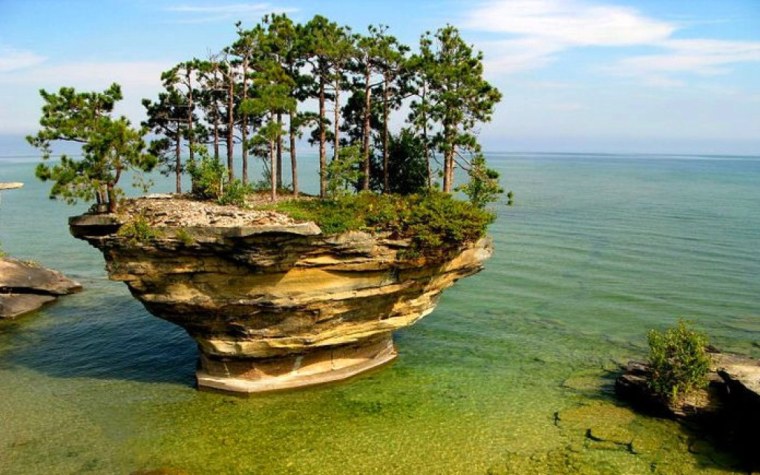 Плавающий Оазис остров и на нем выращивают растюшки всякие