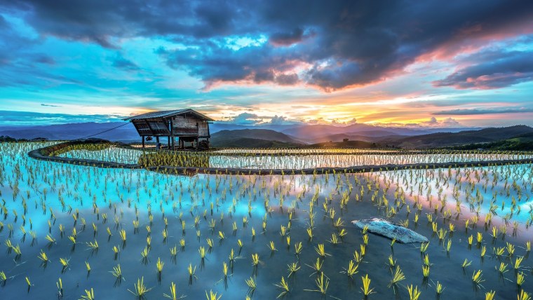 Национальный Приморский парк Хитачи, Япония