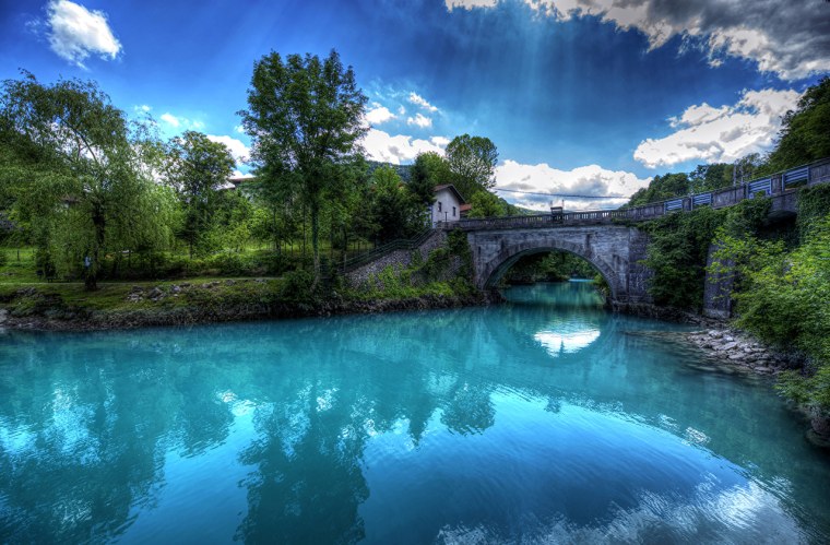 Розовые бабочки