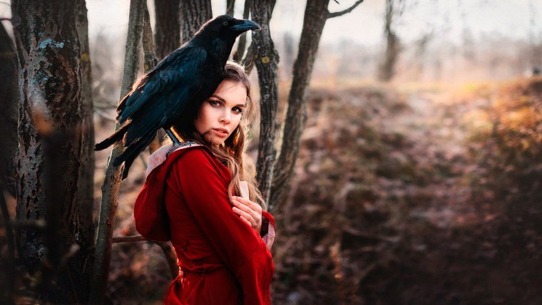 Фотосессия с вороном