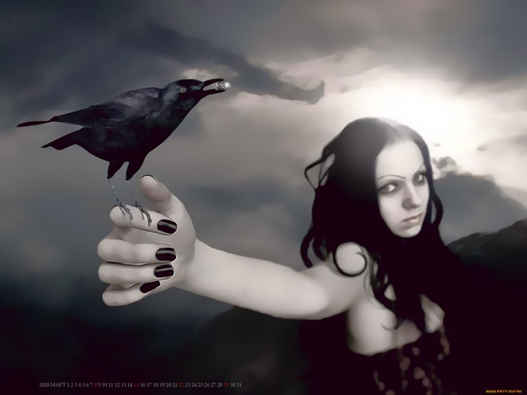 Ворон сидит на руке