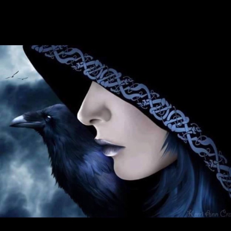 Маргарет Роджерсон магия ворона и арты