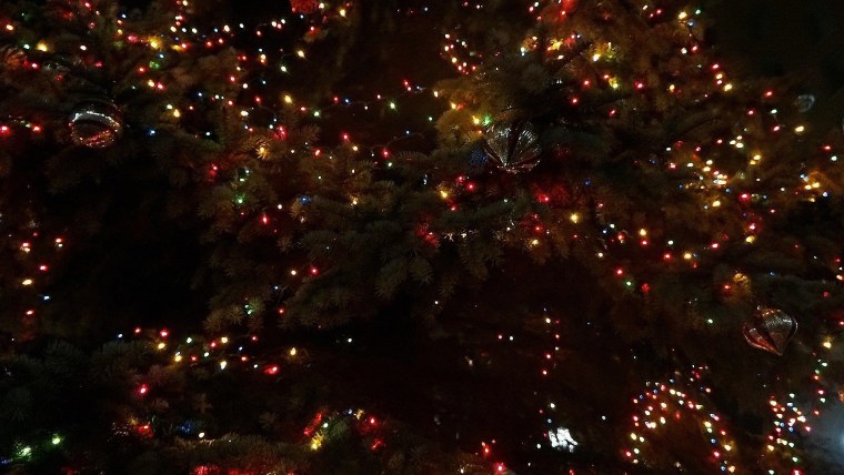 Гирлянда на дереве