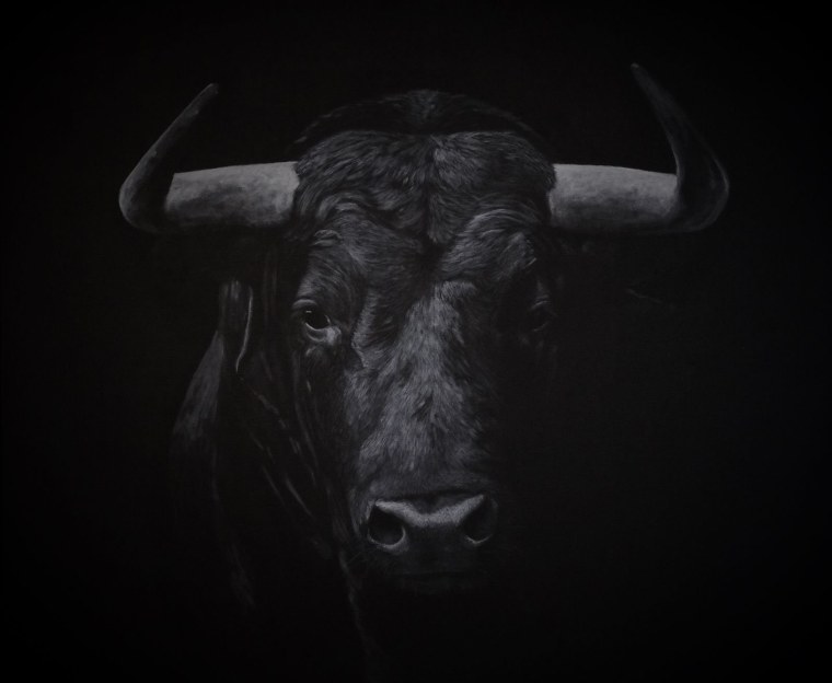 Бык черно белый