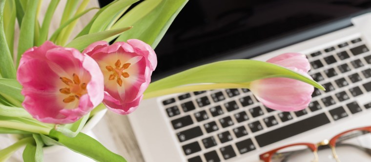 Компьютерные цветы