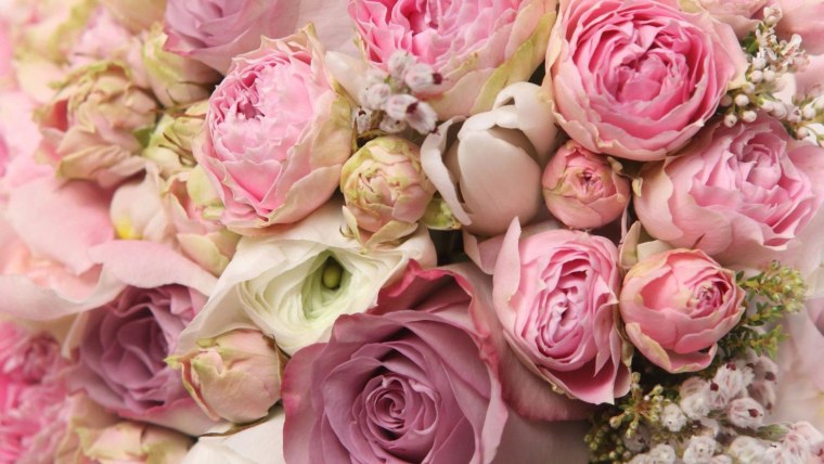 Роза кустовая пионовидная