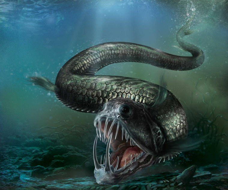 Саблезубая рыба гадюка