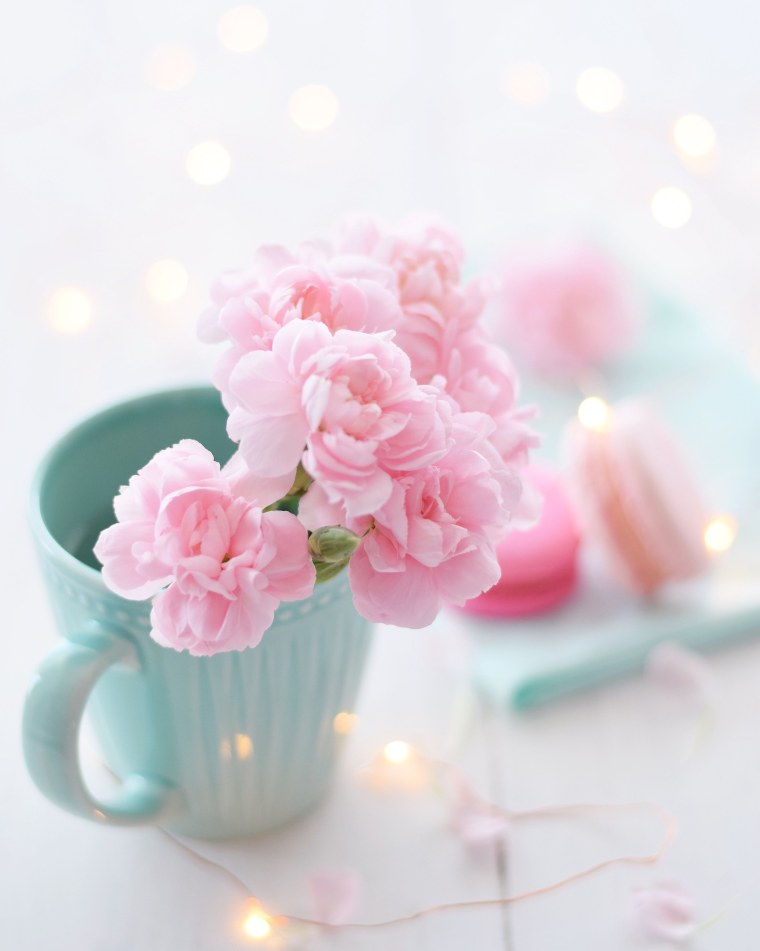 Нежный цветок