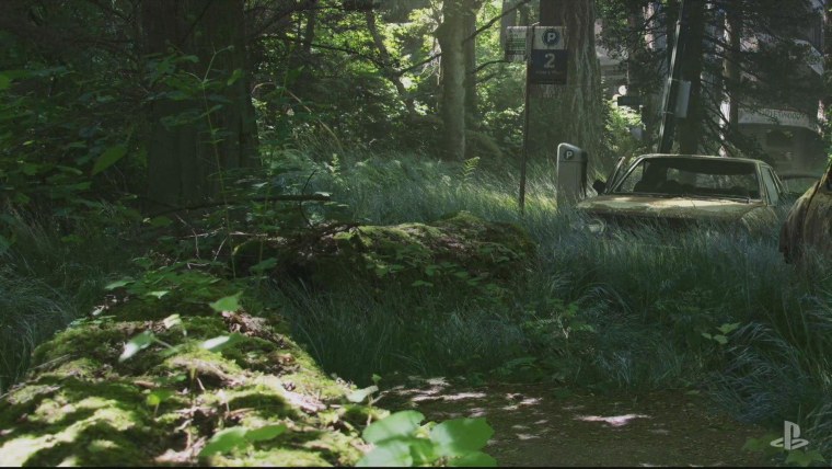 Элли the last of us 2 Санта Барбара