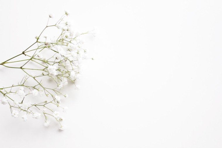 Цветы на белом фоне Минимализм