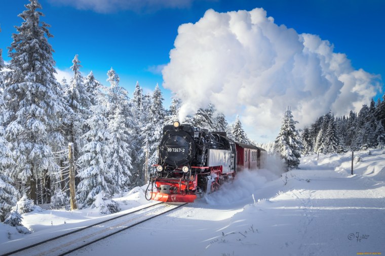 Паровоз в зимнем лесу