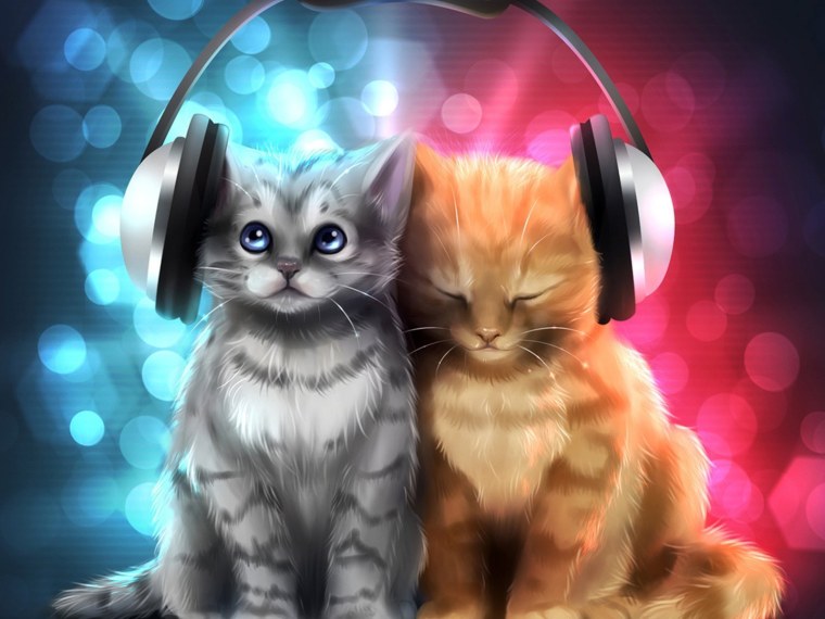 Konohana Kitan аниме