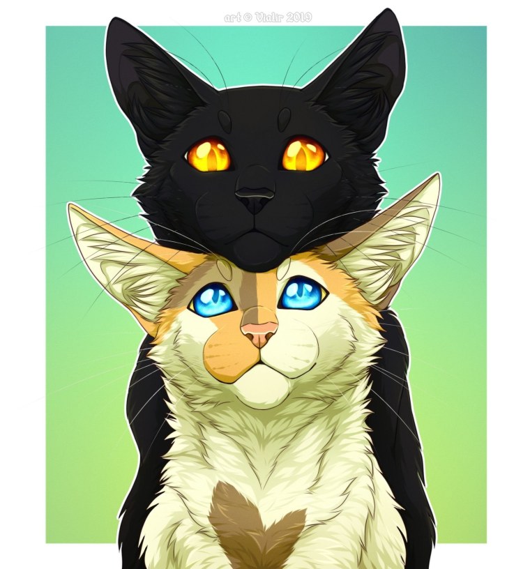 Милые космические котики