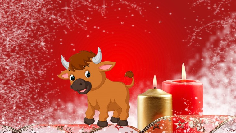 Новый год быка
