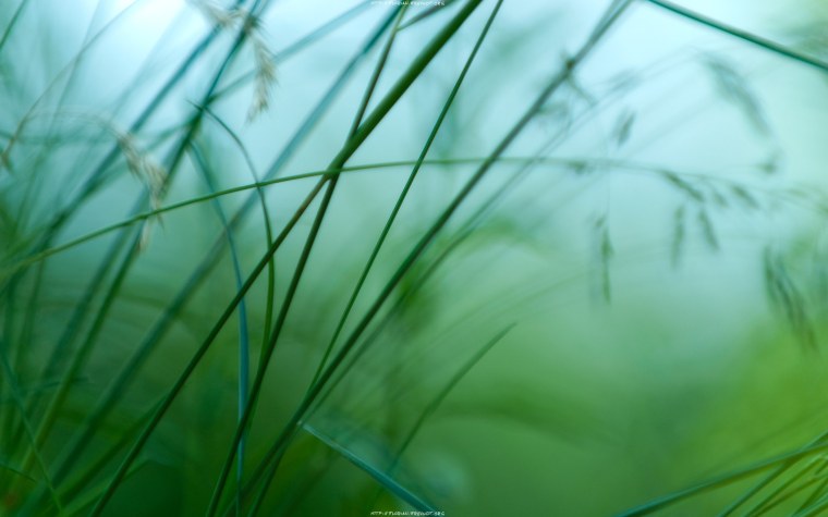 Фон для презентации природа