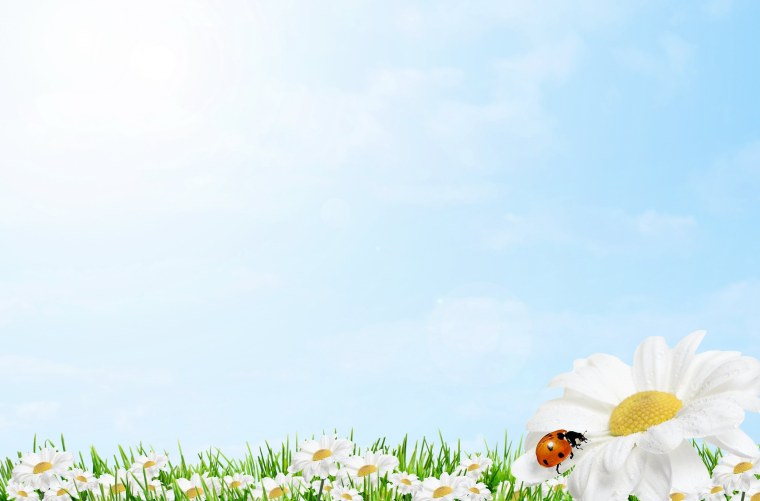 Деревянный фон