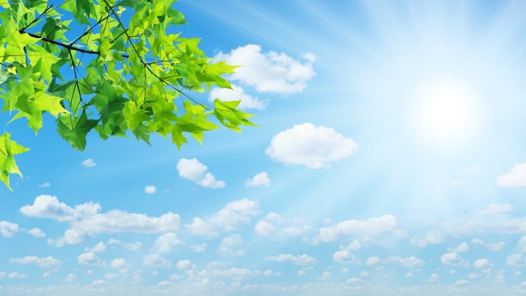 Фон для презентации природа