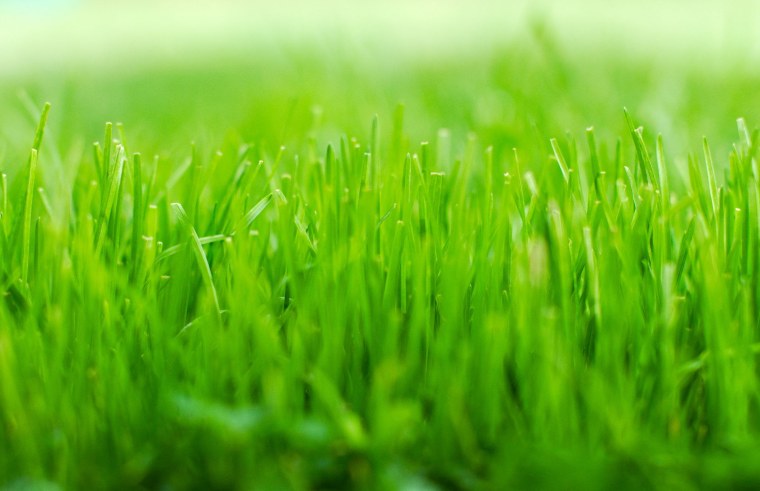 Линукс минт 11