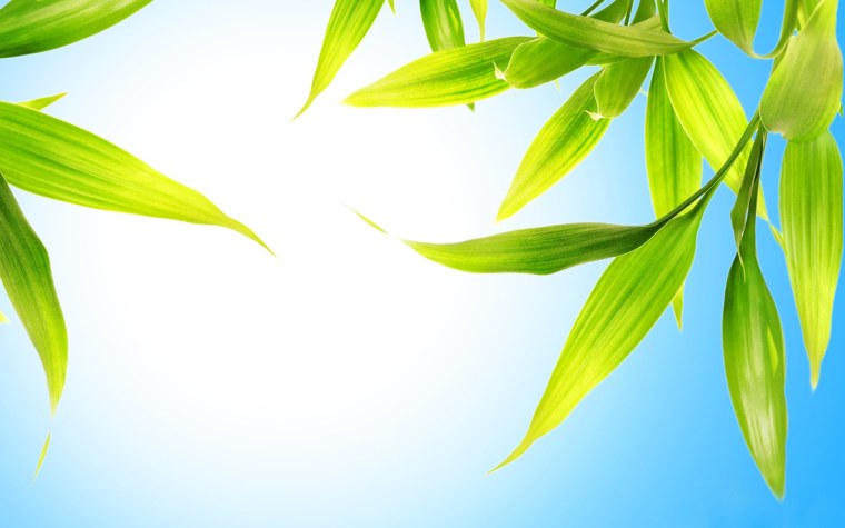 Фон растения