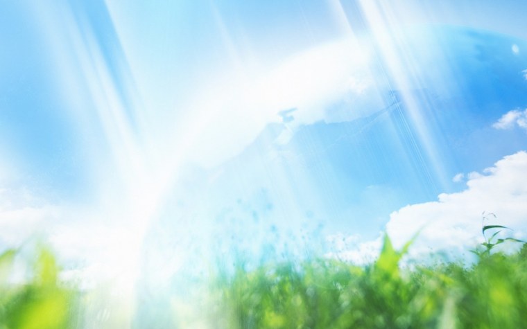 Красивые зеленые растения