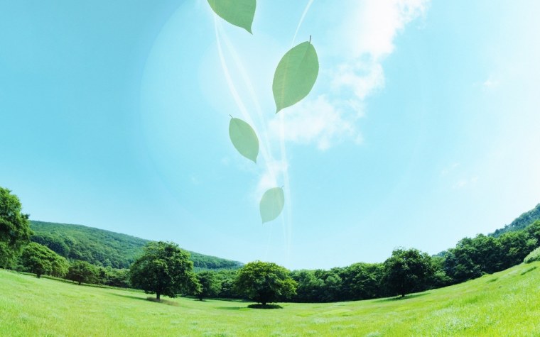 Фон для презентации природа