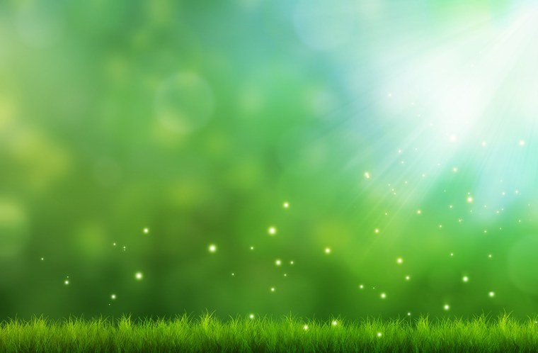 Обои приятные для глаз