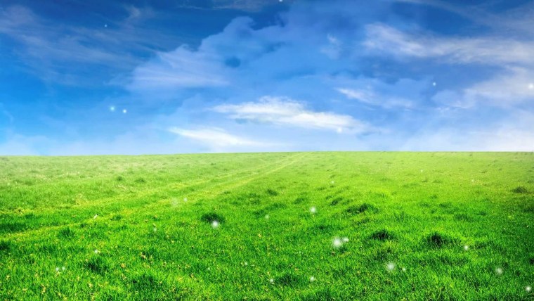 Апельсин на Светлом фоне