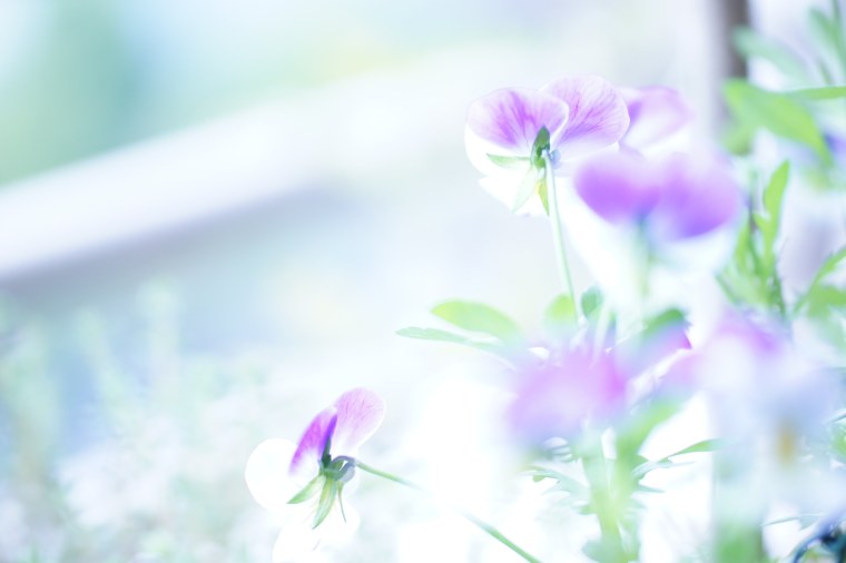 Полянка с небом