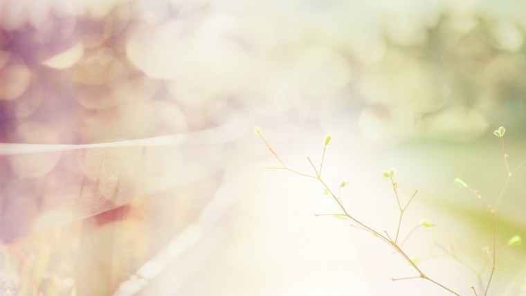 Весна Минимализм