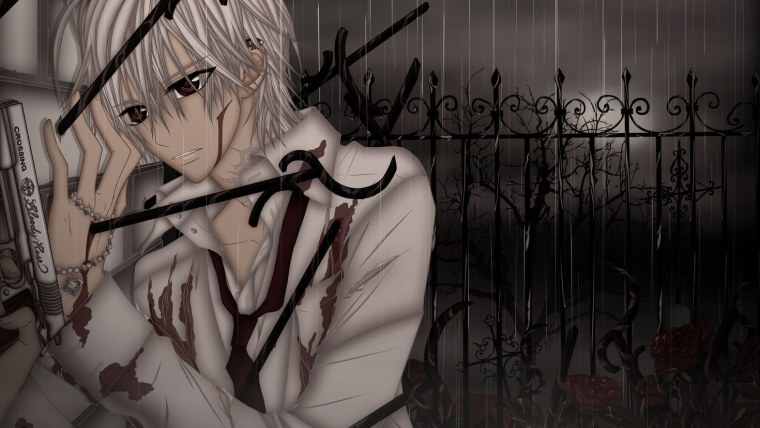 Аниме рыцарь вампир Зеро