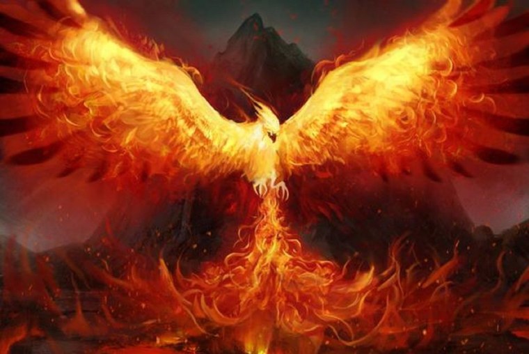 Феникс Сойка пересмешница