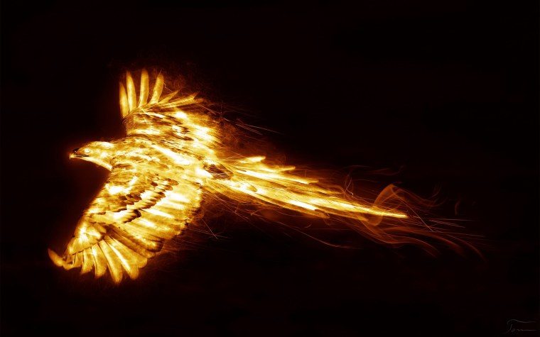 Рарог Сокол Феникс Финист