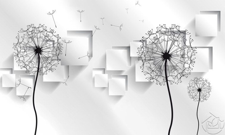 Черно белые картины