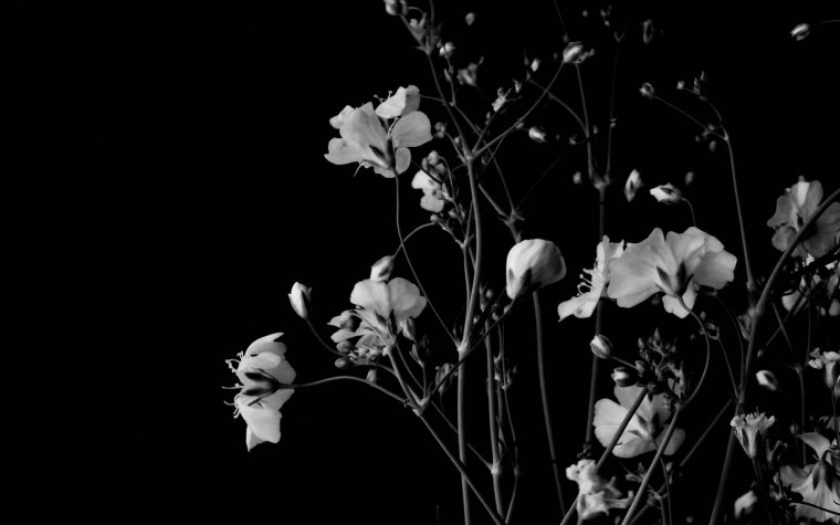 Белая абстракция