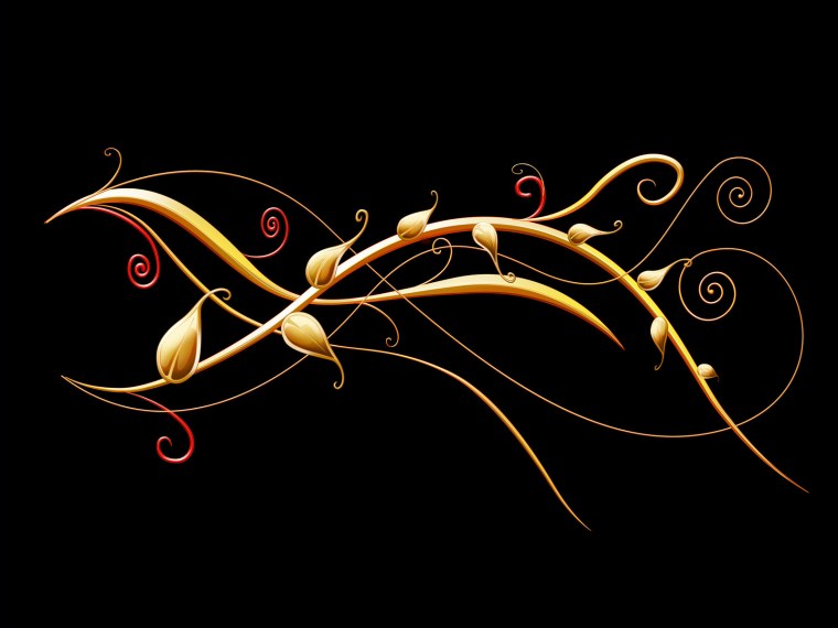 Цветы чёрно белые