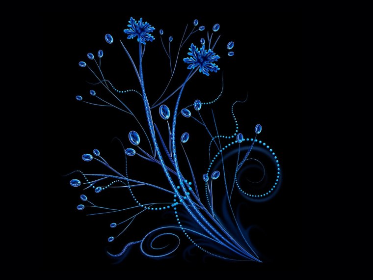 Бабочки на белом фоне