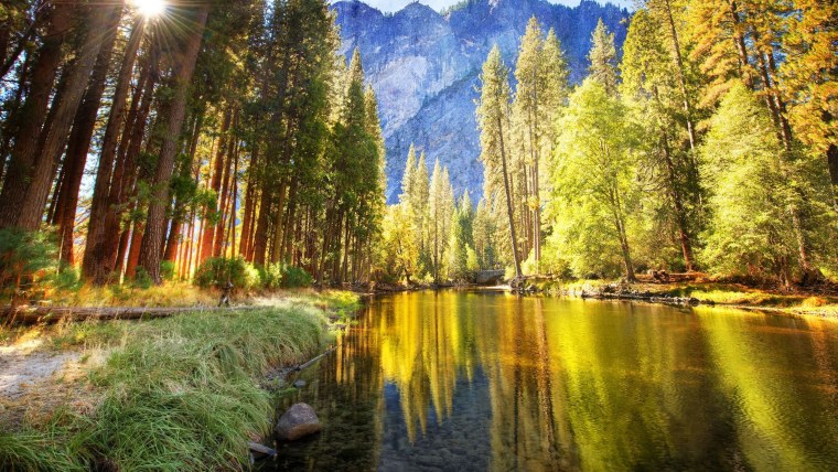 Лесная дорожка тропинка