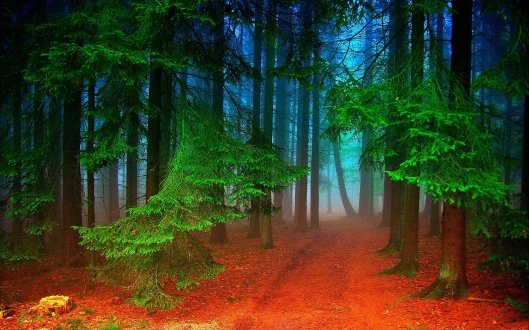 Заставка осень лес