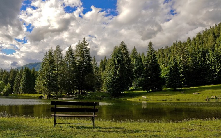 Смешанные и широколиственные леса реки и озера