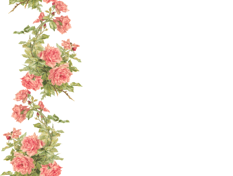 Цветы по углам на белом фоне