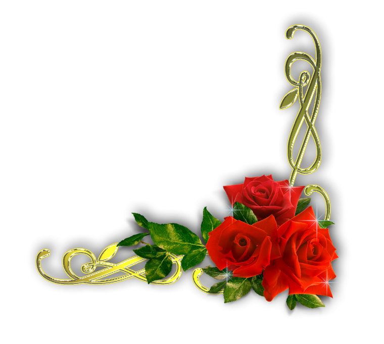 Цветы уголок