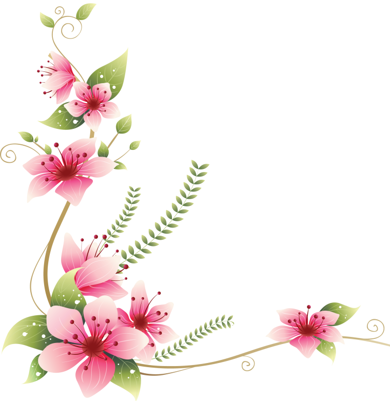 Уголок из роз на прозрачном фоне