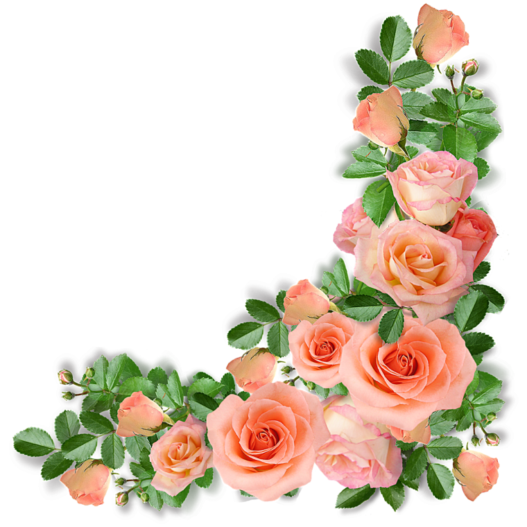 Акварельные цветы