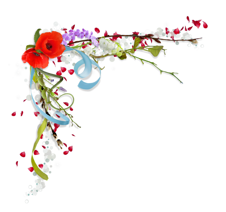 Цветы на прозрачном фоне