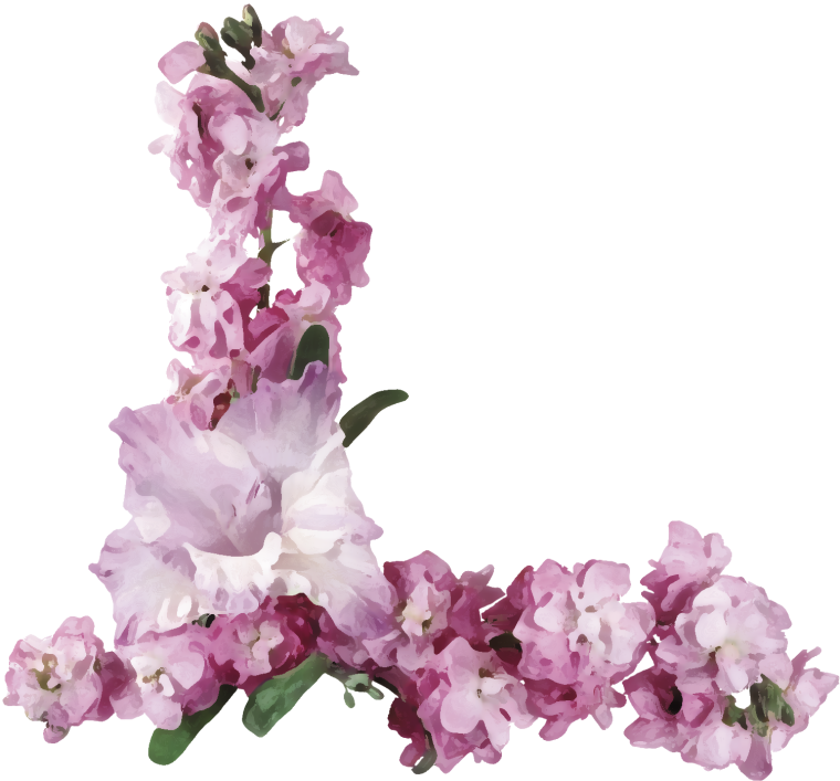 Обрамление из цветов