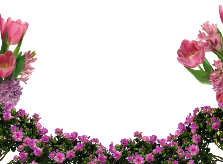 Уголок из цветов