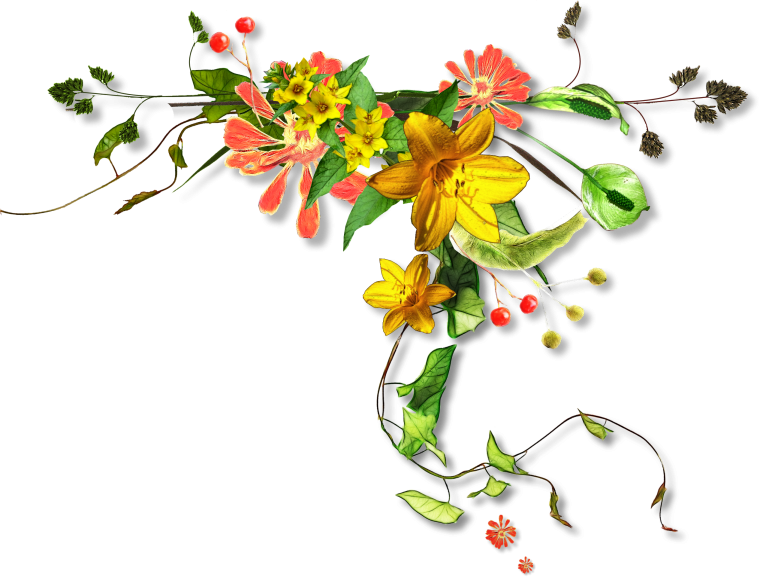 Цветы угловые для фотошопа