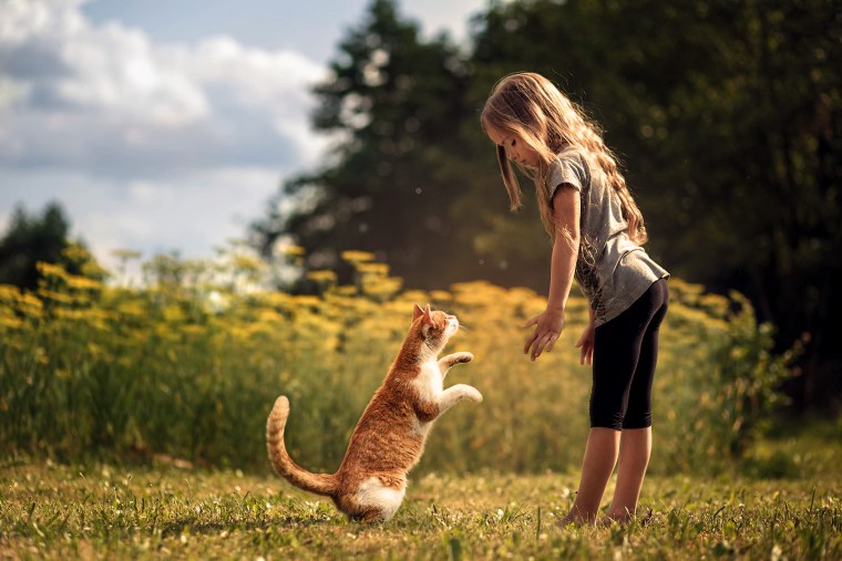 Дети природа животные