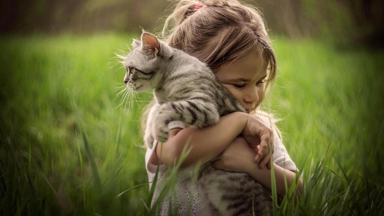 Девочка с котом на руках